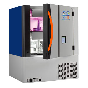 Insect growth chamber