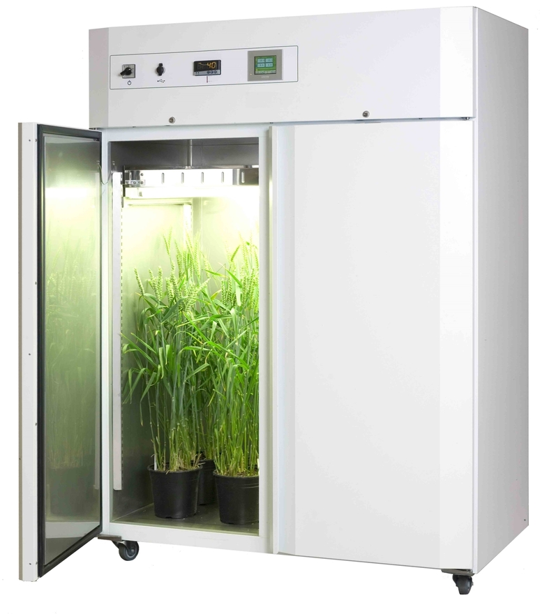 Insect growth chamber
