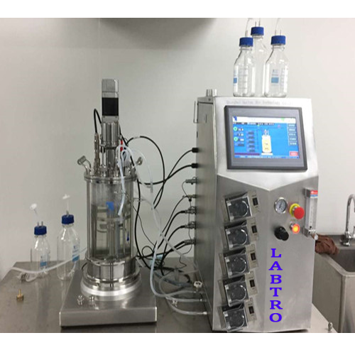 Lab Scale Bioreactor Fermenter