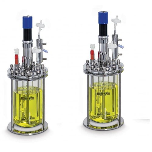 Benchtop Bioreactor Fermenter